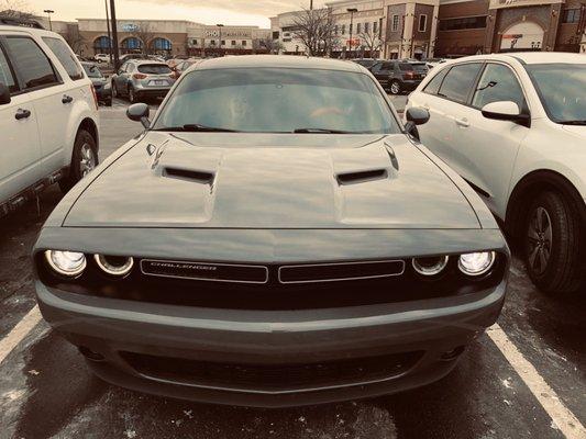 Added brow to my challenger thanks to tiger tint !