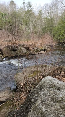 Another view of the stream heading to the dam catch basin.