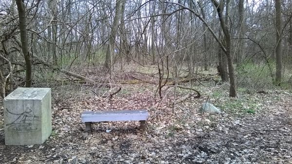 most of the trails are leaf covered and have a few benches