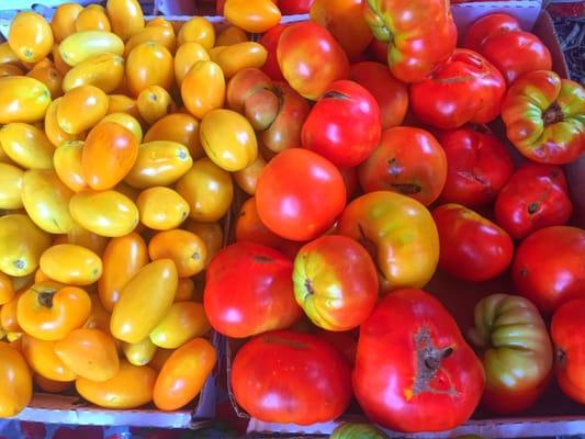 Variety of local tomatoes