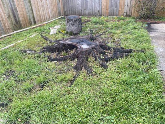 Stump Grinding