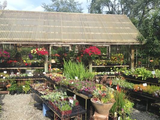 Gardens At Padden Creek