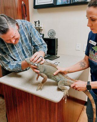 Nacho is one of our favorite patients!