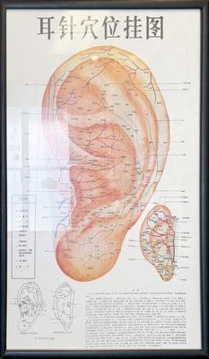 Acu-points Chart ear