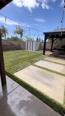 Sod Installation