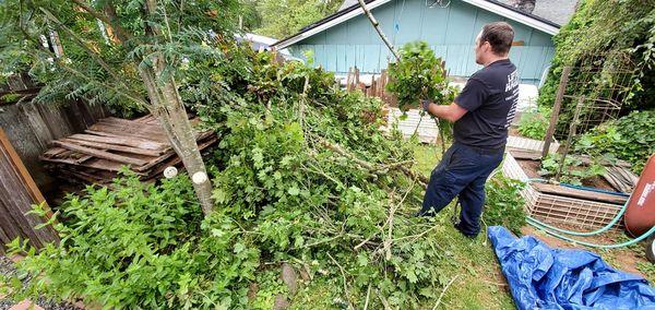 10 cubic yards of yard debris? No Problem