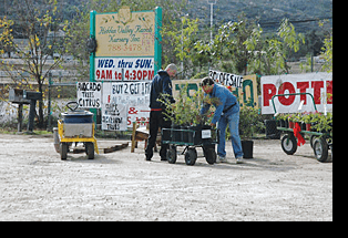 Hidden Valley Ranch Nursery, Inc