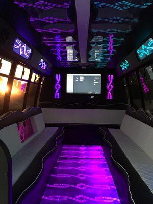 20 passengers party interior