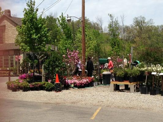 Denny McKeown's Bloomin Garden Centre