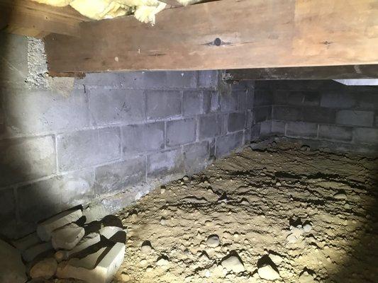 Crawlspace inspection