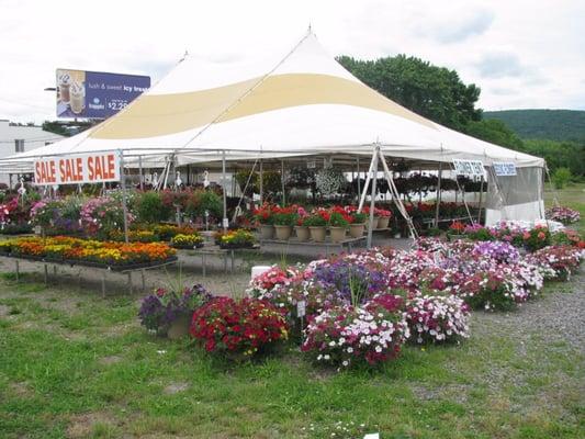 Flower Tent