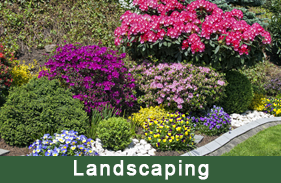 A Bruno & Son Landscaping & Design