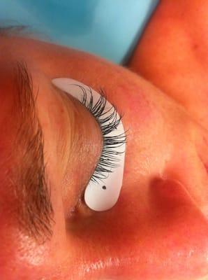 3D Lash Xtensions