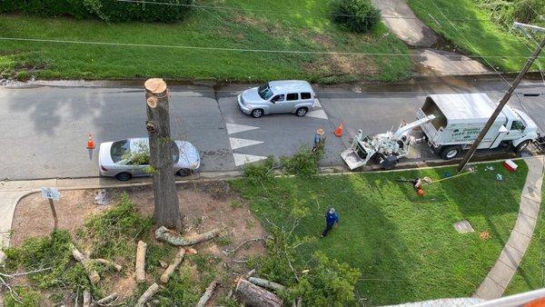 González Tree Service