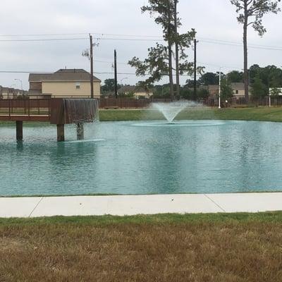 Serene pond with fountain!