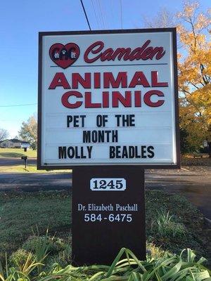 Each month we select a different pet to have their name in lights!