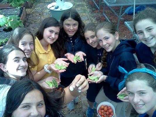 We are so proud of our students for learning how to grow herbs and vegetables in the Hochberg Prep Greenhouse.