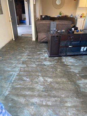 Slab leak was not addressed right away and maintenance wanted to only change one area, (whole unit effected)