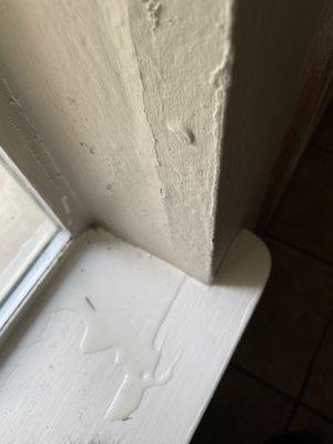 Insufficient wratherizing and windows needing replacement causing condensation buildup and mold growth