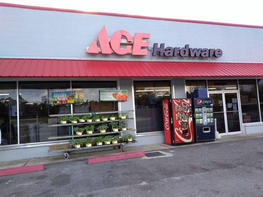 Ace Hardware