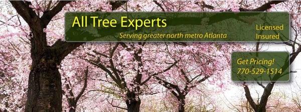 Tree trimming & pruning