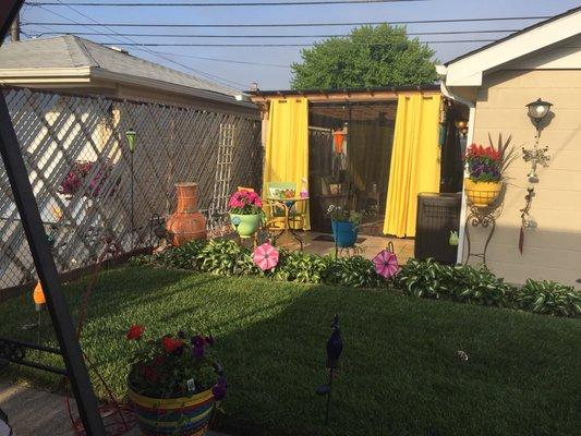 My pergola with Mosquito Curtains. I love my outdoor space!