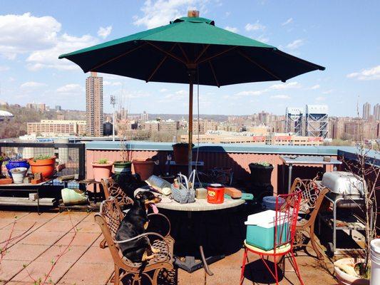 Chilling out on a rooftop terrace in Park Terrace Gardens.