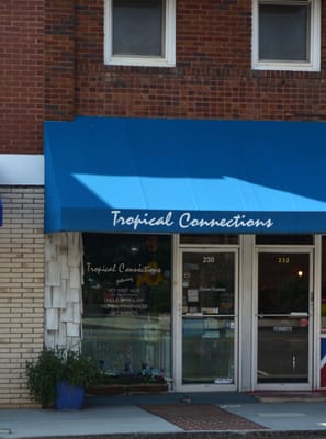 Tropical Connections