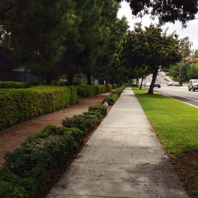 Side street along the park