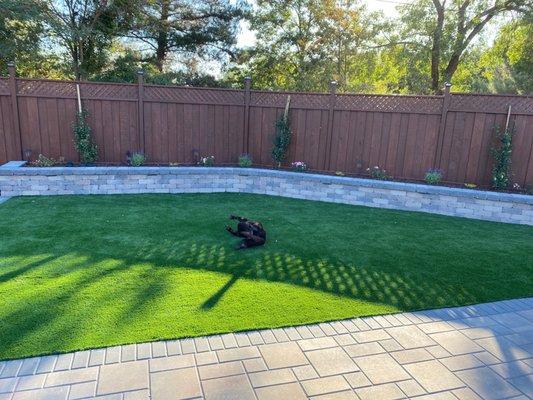 Our dog loves the turf