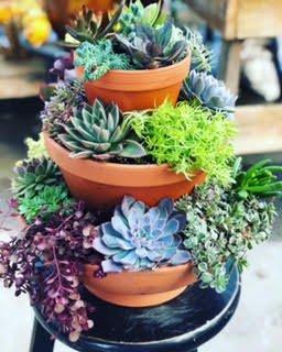 3 Tier succulent tower