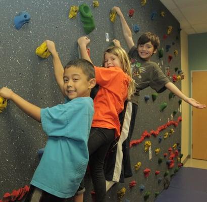 Spectacular motor room complete with swings, balls & a climbing wall!