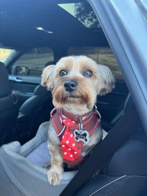 Tank after a spa day with Kylee!