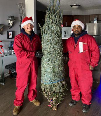 TreeSanta Chicago Christmas Tree Delivery