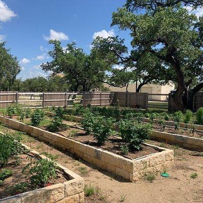 Our on site culinary garden