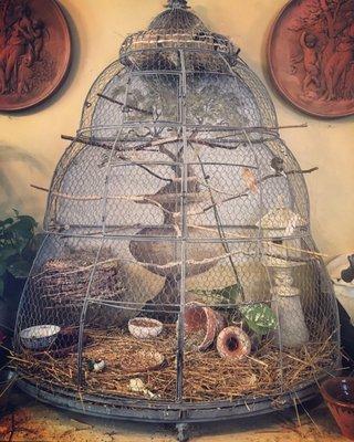 Vintage birdcage with the most lovely birds are a perfect touch.