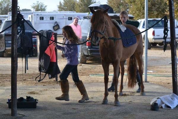 We encourage our younger riders to join Pony Club. Here are a couple working together to get one out into the ring on time.