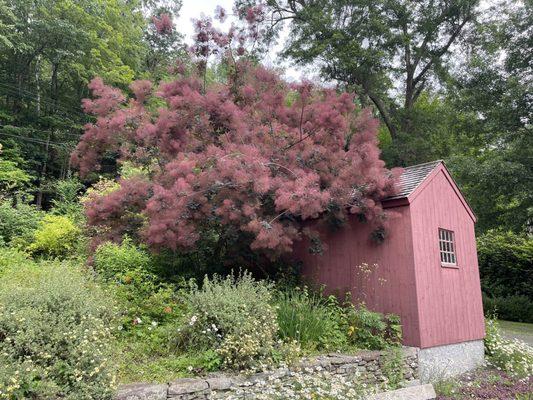 Barn