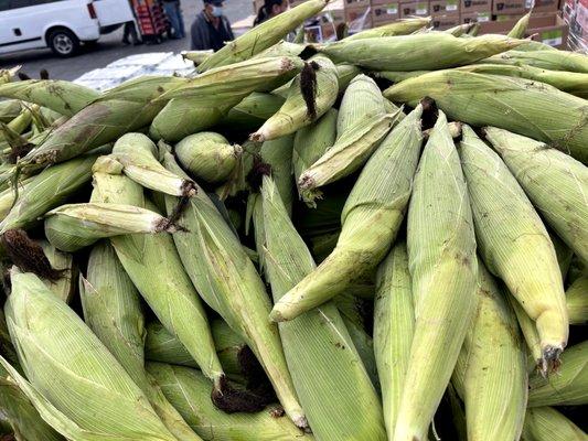 Elote Mexicano