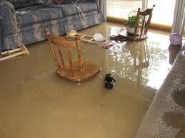 Basement flood cleanup before Cloud Nine Systems!