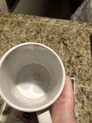 Dirty coffee mug obviously used.