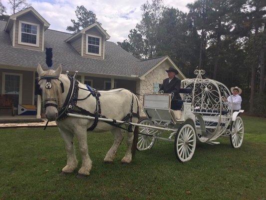 Cinderella carriage to our Princess Party and QuInceanera