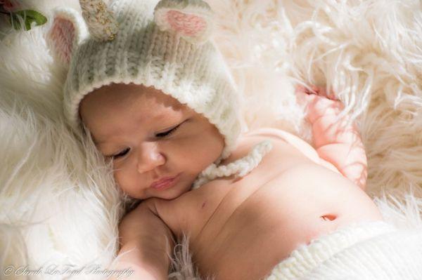 Latest newborn session