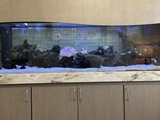 This is the fish tank like finding Nemo in the waiting room.