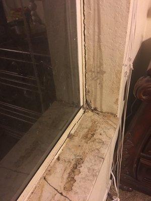 This mold in our bedroom. We have lived here for 5 months and this is still not fixed.