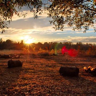 Excellent natural light for watching the setting sun around 2 hours before dark.