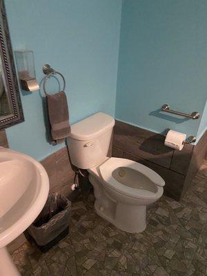 Sink and toilet