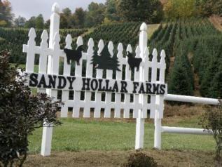 Sandy Hollar Farms