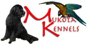 Mukota Kennels Llc