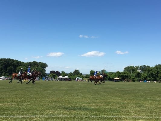 Hunterdon polo classic